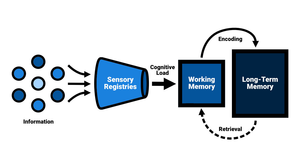 An overview of cognitive architecture, focusing on the interplay between information, cognitive load, working memory and long-term memory.